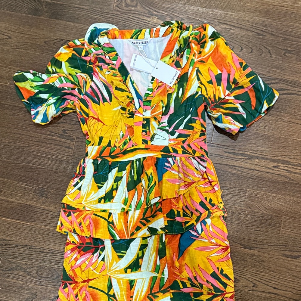 Walter Baker Multicolor Leaf Print Dress